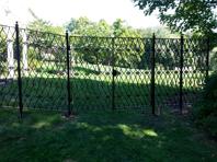 cast iron fence and gate
